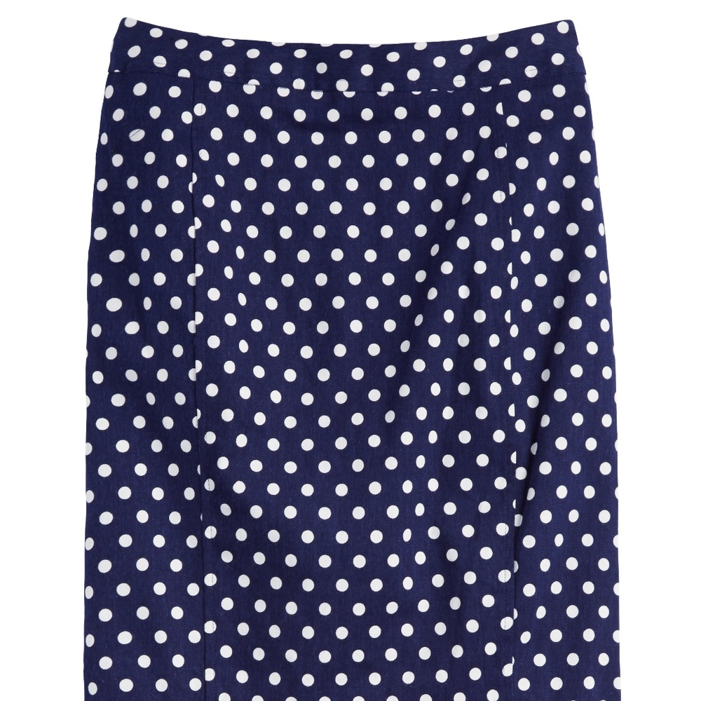 Polka Dot Skirt